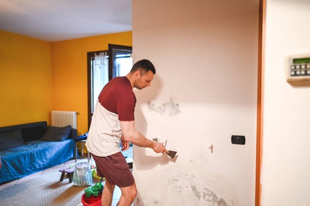 Best Black Mold Remediation in Morton Grove, IL